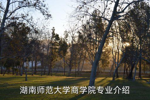 湖南師范大學(xué)商學(xué)院專業(yè)介紹