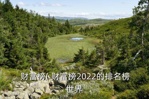  財富榜( 財富榜2022的排名榜世界