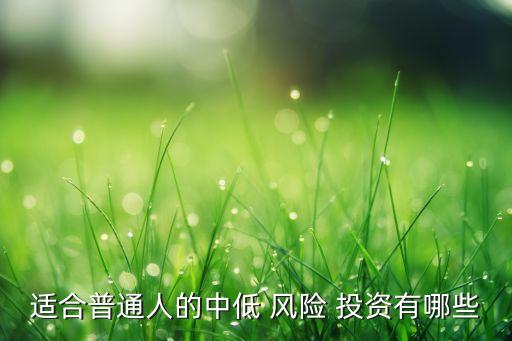 適合普通人的中低 風(fēng)險(xiǎn) 投資有哪些