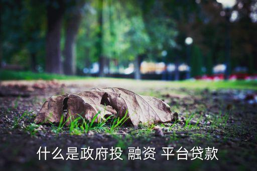 什么是政府投 融資 平臺(tái)貸款