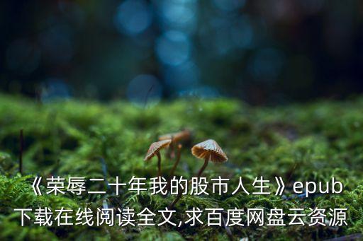 《榮辱二十年我的股市人生》epub下載在線閱讀全文,求百度網(wǎng)盤(pán)云資源