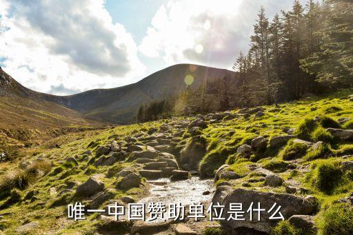 中國英利破產(chǎn)重組,英利能源有破產(chǎn)重組過嗎