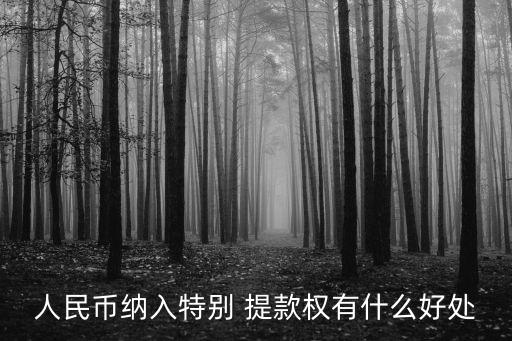 人民幣納入特別 提款權(quán)有什么好處