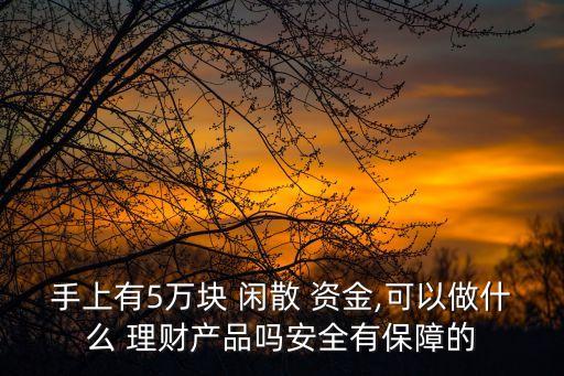 手上有5萬塊 閑散 資金,可以做什么 理財產(chǎn)品嗎安全有保障的