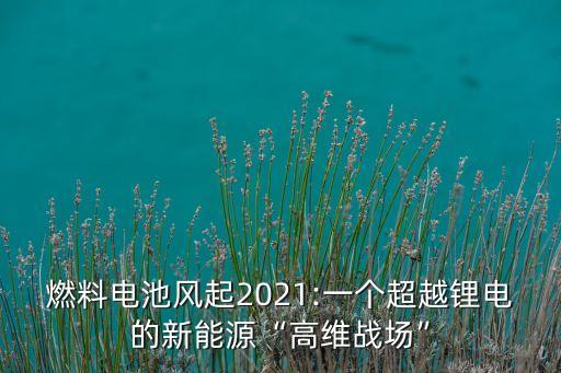 燃料電池風(fēng)起2021:一個超越鋰電的新能源“高維戰(zhàn)場”