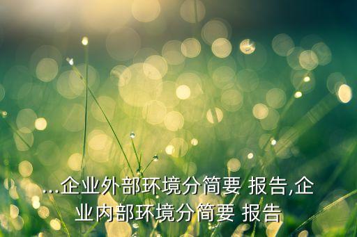 ...企業(yè)外部環(huán)境分簡(jiǎn)要 報(bào)告,企業(yè)內(nèi)部環(huán)境分簡(jiǎn)要 報(bào)告