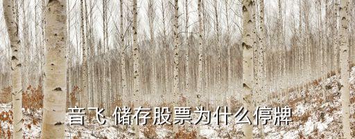  音飛 儲(chǔ)存股票為什么停牌