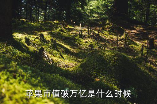 蘋果公司的營收