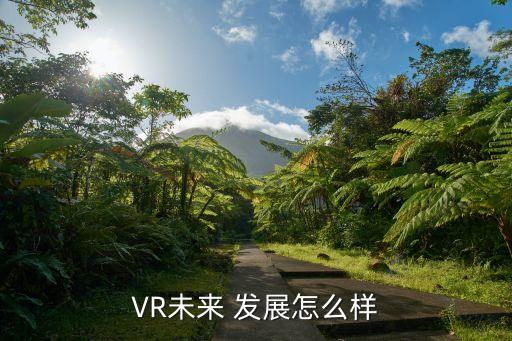 VR未來 發(fā)展怎么樣