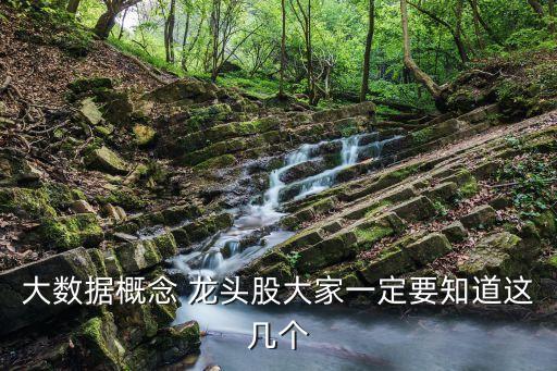 大數(shù)據(jù)概念 龍頭股大家一定要知道這幾個