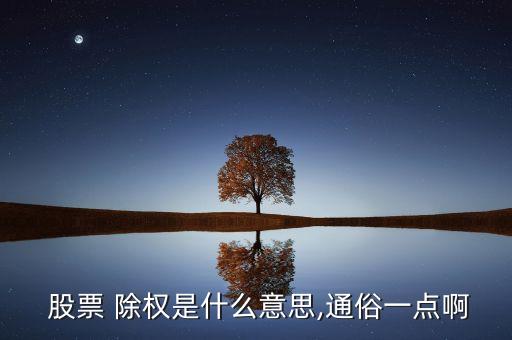  股票 除權(quán)是什么意思,通俗一點(diǎn)啊