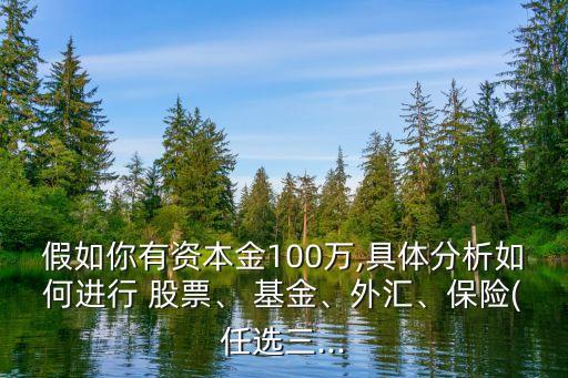 假如你有資本金100萬(wàn),具體分析如何進(jìn)行 股票、 基金、外匯、保險(xiǎn)(任選三...