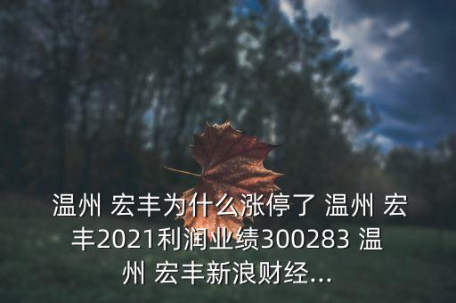  溫州 宏豐為什么漲停了 溫州 宏豐2021利潤(rùn)業(yè)績(jī)300283 溫州 宏豐新浪財(cái)經(jīng)...