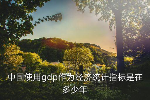 中國使用gdp作為經濟統(tǒng)計指標是在多少年