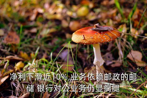 凈利下滑近10%,業(yè)務依賴郵政的郵儲 銀行對公業(yè)務仍顯瘸腿