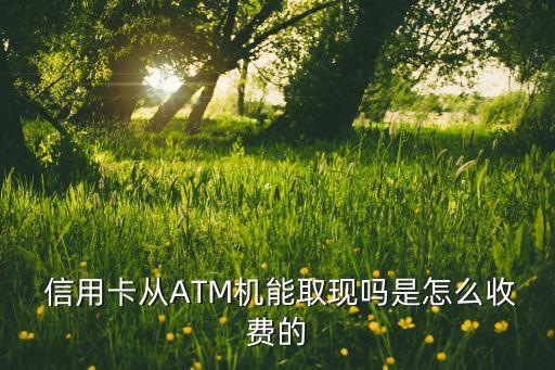  信用卡從ATM機(jī)能取現(xiàn)嗎是怎么收費(fèi)的