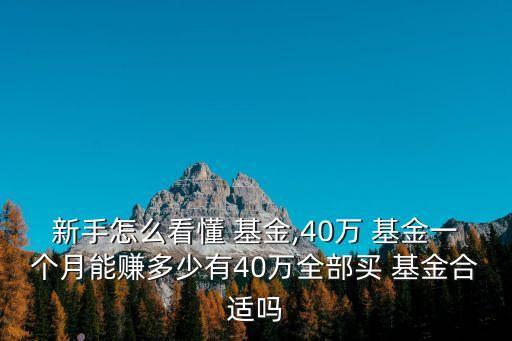 新手怎么看懂 基金,40萬 基金一個月能賺多少有40萬全部買 基金合適嗎