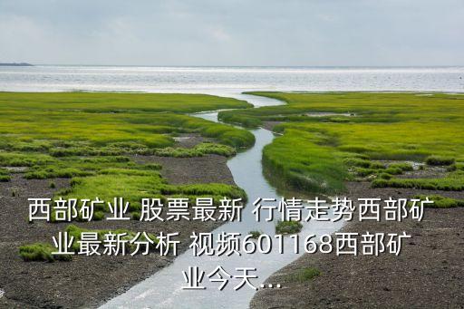 西部礦業(yè) 股票最新 行情走勢西部礦業(yè)最新分析 視頻601168西部礦業(yè)今天...