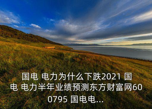 國(guó)電電力發(fā)展股份有限公司周大兵個(gè)人簡(jiǎn)歷,北京國(guó)電電力發(fā)展股份有限公司