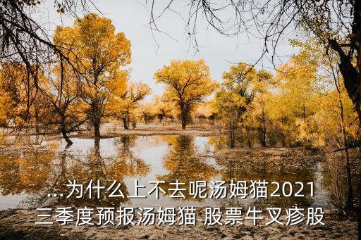 ...為什么上不去呢湯姆貓2021三季度預(yù)報湯姆貓 股票牛叉疹股