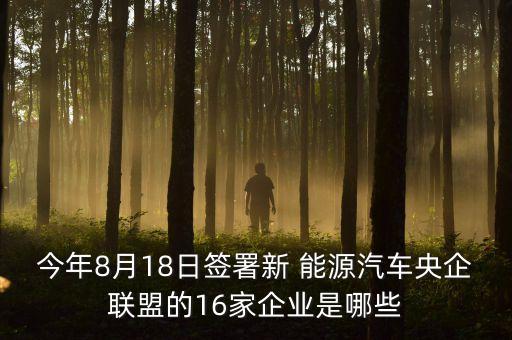 今年8月18日簽署新 能源汽車央企聯(lián)盟的16家企業(yè)是哪些