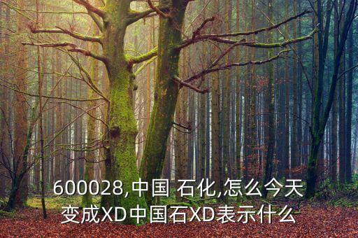 600028,中國 石化,怎么今天變成XD中國石XD表示什么