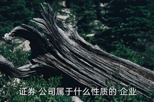  證券 公司屬于什么性質(zhì)的 企業(yè)