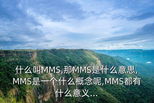 股票中mms是什么,MMs是什么意思