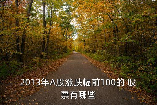 2013年A股漲跌幅前100的 股票有哪些