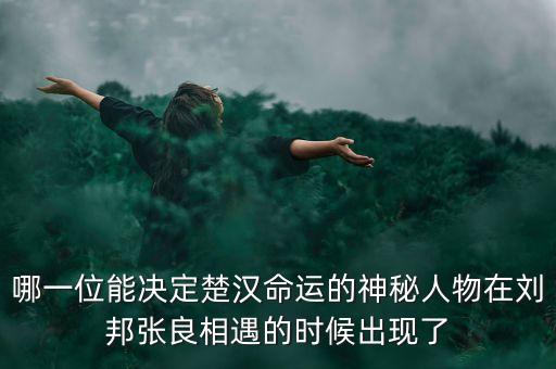 哪一位能決定楚漢命運(yùn)的神秘人物在劉邦張良相遇的時候出現(xiàn)了