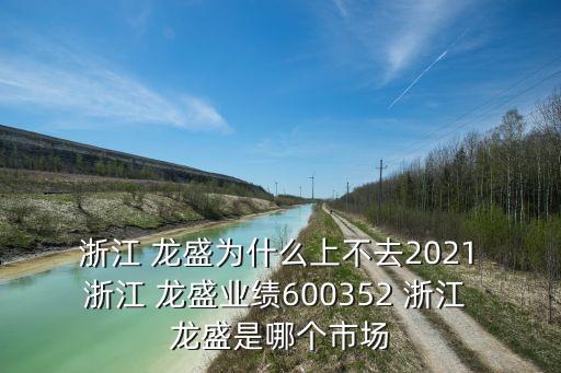  浙江 龍盛為什么上不去2021 浙江 龍盛業(yè)績600352 浙江 龍盛是哪個市場