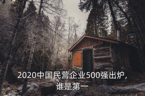 2020中國(guó)民營(yíng)企業(yè)500強(qiáng)出爐,誰是第一