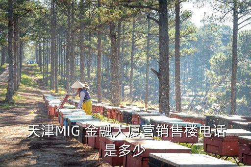 天津于西礦產金融公司,天津正規(guī)的貸款金融公司