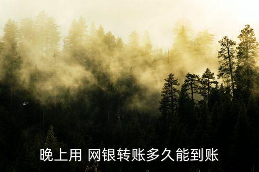 晚上用 網(wǎng)銀轉(zhuǎn)賬多久能到賬