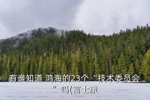 有誰知道 鴻海的23個(gè)“技術(shù)委員會(huì)”嗎(富士康