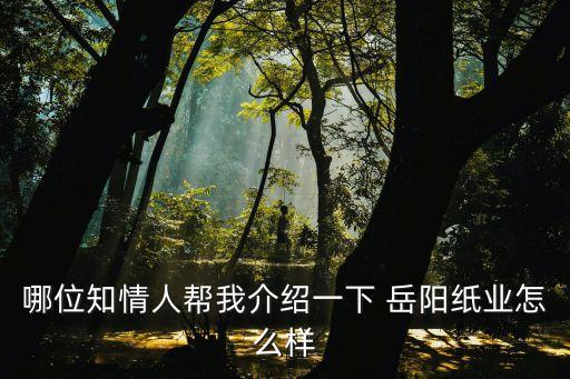 哪位知情人幫我介紹一下 岳陽紙業(yè)怎么樣