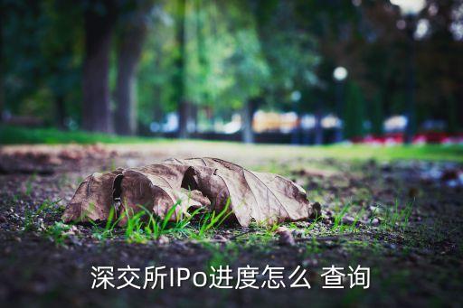 深交所IPo進(jìn)度怎么 查詢