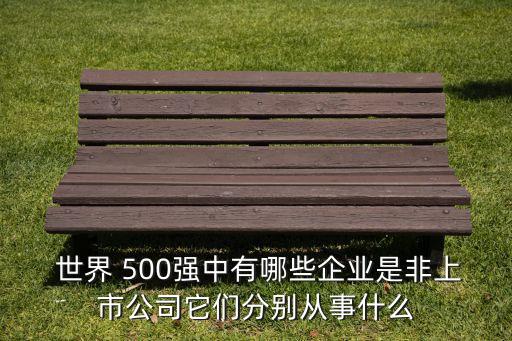  世界 500強中有哪些企業(yè)是非上市公司它們分別從事什么