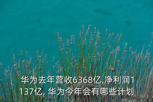  華為去年?duì)I收6368億,凈利潤1137億, 華為今年會有哪些計(jì)劃