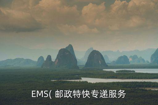 EMS( 郵政特快專遞服務