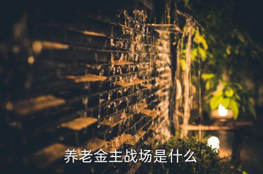 養(yǎng)老金主戰(zhàn)場(chǎng)是什么