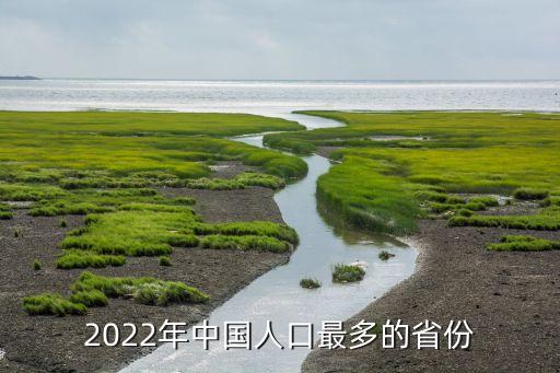 2022年中國(guó)人口最多的省份