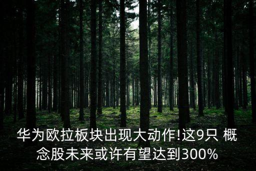 華為歐拉板塊出現(xiàn)大動作!這9只 概念股未來或許有望達到300%