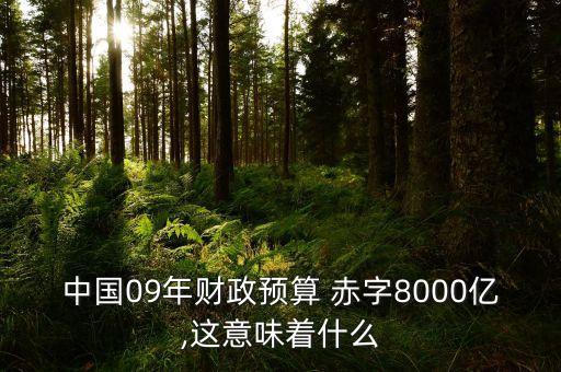 中國(guó)09年財(cái)政預(yù)算 赤字8000億,這意味著什么