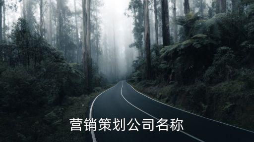 營銷策劃公司名稱