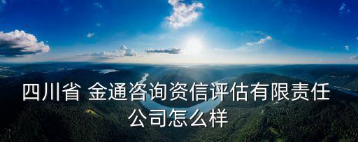 金通投資擔保公司,投資擔保公司的錢要不出來怎么辦