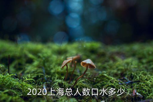 2020上?？?cè)藬?shù)口水多少