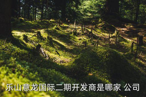 樂山意龍國際二期開發(fā)商是哪家 公司