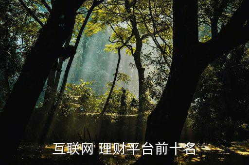 互聯(lián)網(wǎng) 理財(cái)平臺(tái)前十名