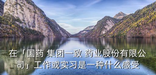 在「國藥 集團一致 藥業(yè)股份有限公司」工作或?qū)嵙暿且环N什么感受